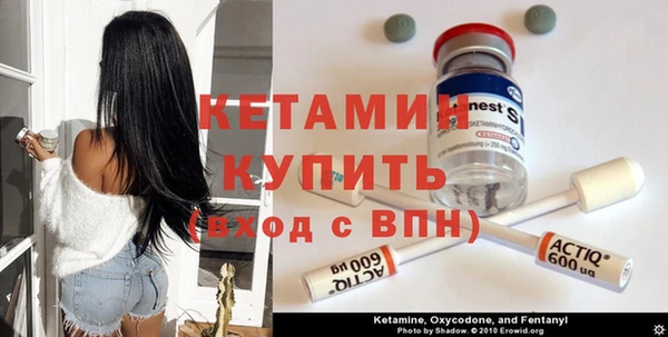 стаф Аркадак