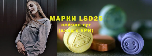 стаф Аркадак