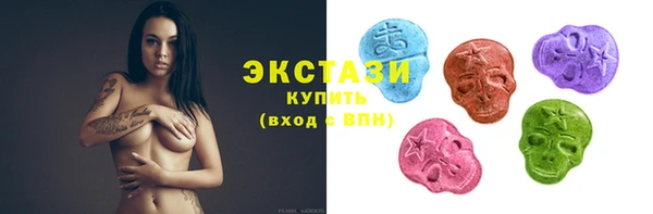 стаф Аркадак