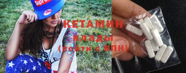 стаф Аркадак