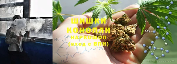 стаф Аркадак